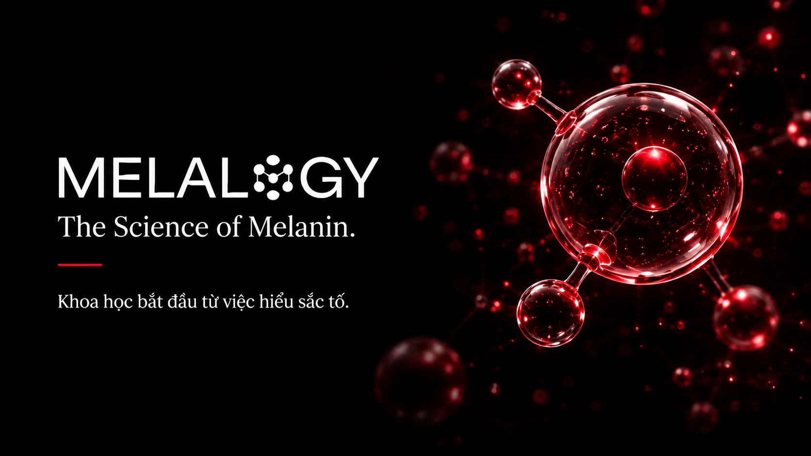 MELALOGY — The Science of Melanin. Khoa học bắt đầu từ việc hiểu sắc tố.